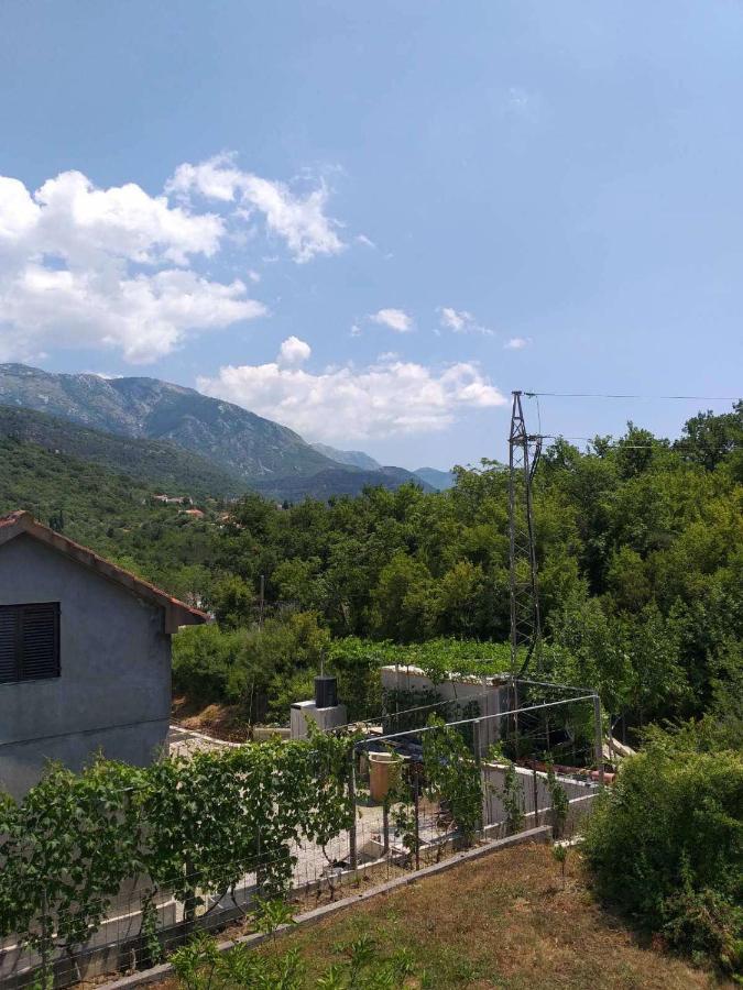 Apartment Davidovic Tivat Exterior foto